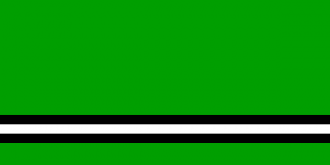 Флаг города Осиповичи.