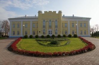 Дворец Потемкина (Кричевский исторически