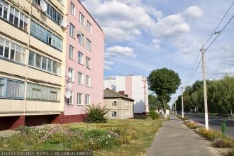 На улице города Чаусы.