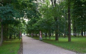 Парк города Чаусы.