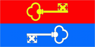 Флаг Петрикова