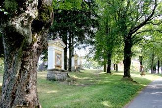 Аллея в парке Пршерова.