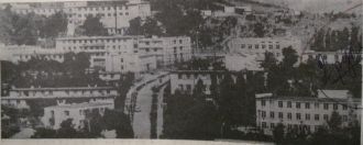 Чимишлия, 1976 год.