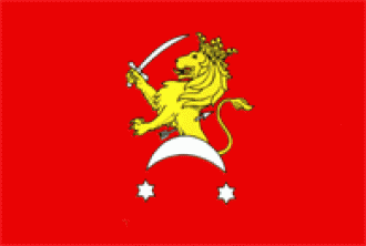 Флаг города Сынжерей.