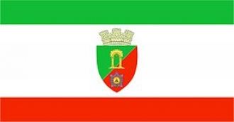 Флаг города Тараклия.