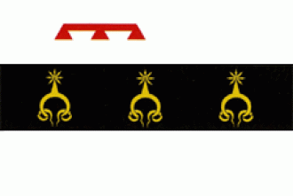 Флаг города Дурлешты.