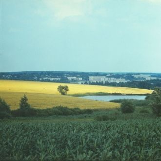 Дурлешты, 1980 год.