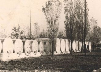 Город Фалешты в былые времена.