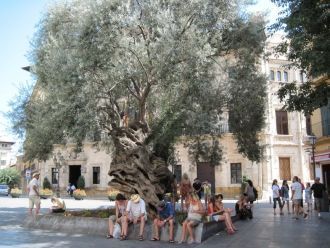 Повседневная жизнь Пальма де Майорка.