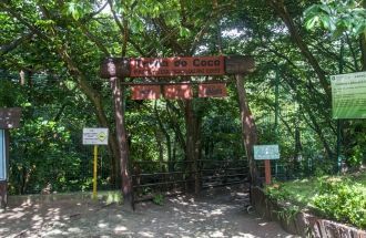 Экологический парк do Cocó Форталезы.