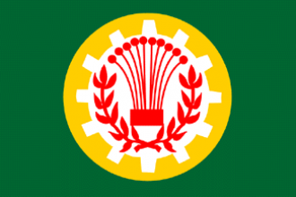 Флаг Эль-Мансуры.