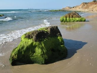 Пляж к югу от Хадеры, Израиль