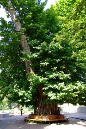 Общественный парк Загатальский.
