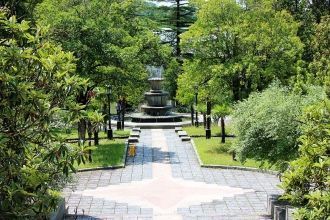 Курортный парк.