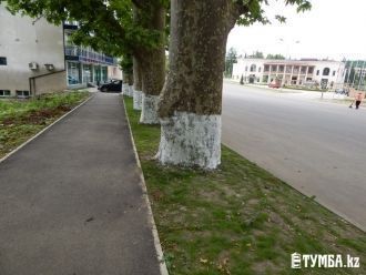 На улицах города Цхалтубо.