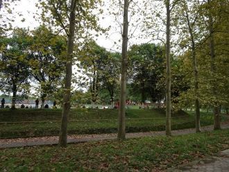 Аллеи горорода Гардабани.