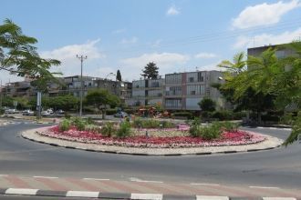 Площади, бабочки. Кирьят-моцкин.