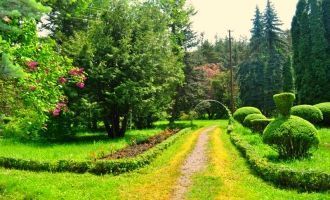 Дендропарк Сочут.&nbsp;