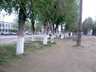 Одна из центральных улиц города.