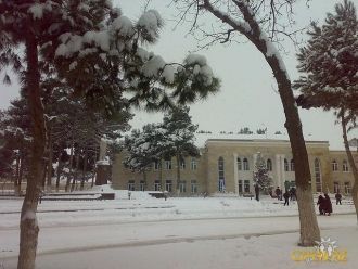 Жители г. Дивичи (Шабран).