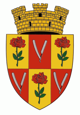 Герб города Бричаны.