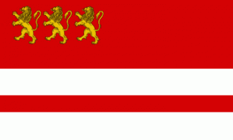 Флаг города Марнаули.