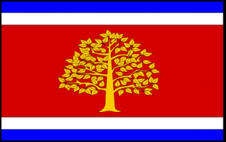 Флаг города Мартвили.