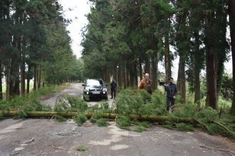 Жители города Озургети.