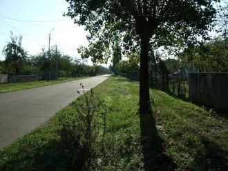 На улице города Хони.