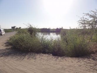 Фото города Беруни.