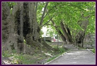 Сад Чор-Чинор.