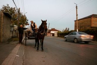 Местные жители города Лагодехи.