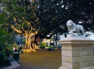 Парк Каналехас.