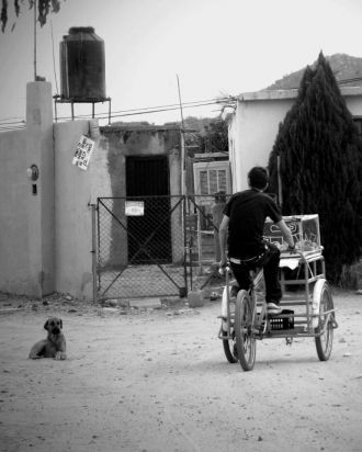 На улице города Эрмосильо.