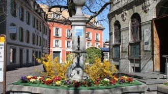 Ньон. Достопримечательность.