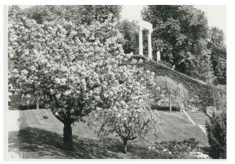 Старый город Ньон.