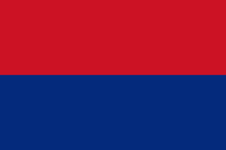 Флаг города Картаго.