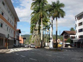 Руа дас Пальмейрас