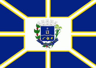 Флаг Анаполиса.