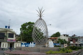 Памятник - ананас.
