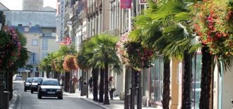 Окрестности города Тарб.