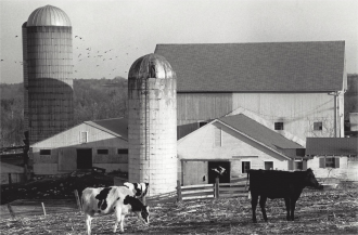 Историческое изображение Дадли - ферма.
