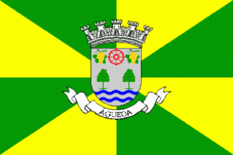 Флаг города Агеда.