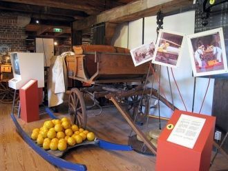 В музее сыра также представлены разнообр