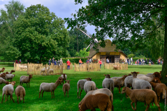 Этнографический музей Бойкрейк