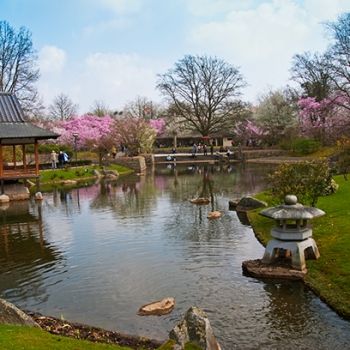 Японский сад в Хасселте.