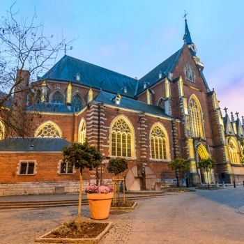 Собор Св. Квентина в Хасселте.