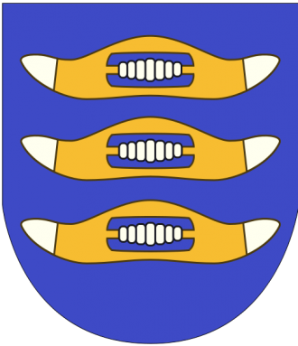 Герб города Хювинкяа.