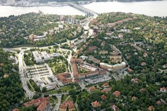 Ледингё с высоты птичьего полёта.