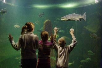 Дети в аквариуме “Маретариум”